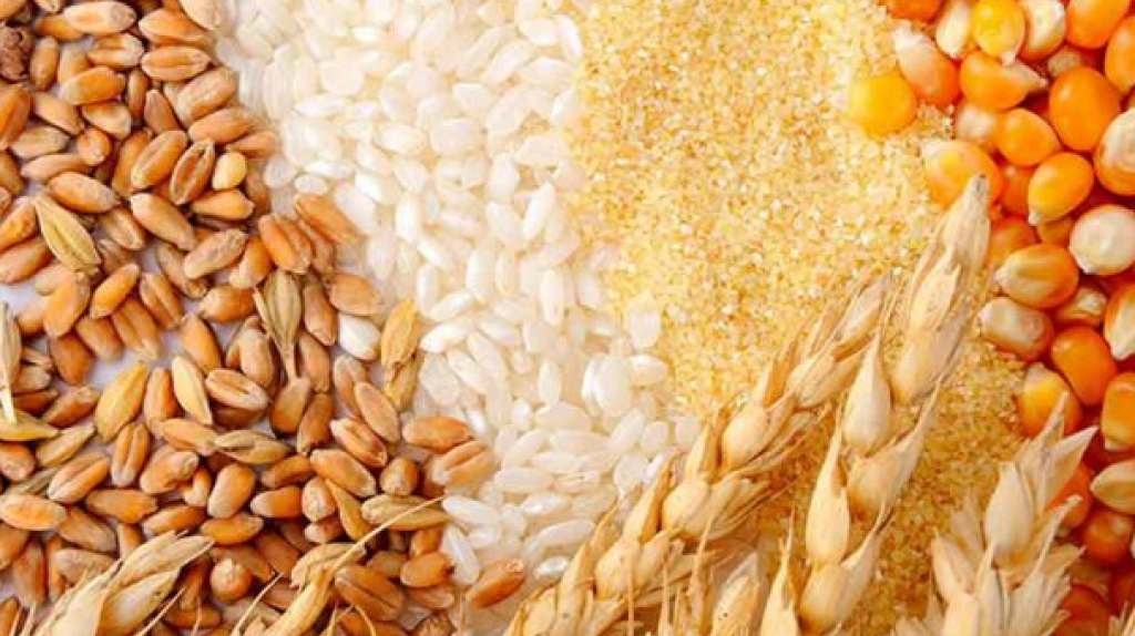 واردات انواع غلات از روسیه  