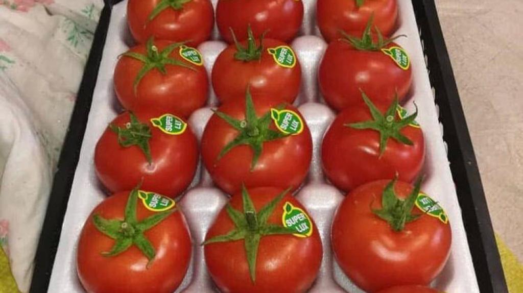 صادرات صیفی جات و سبزیجات به روسیه