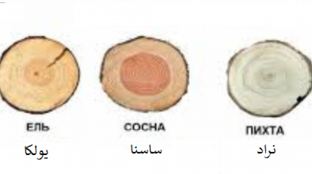 واردات چوب از روسیه